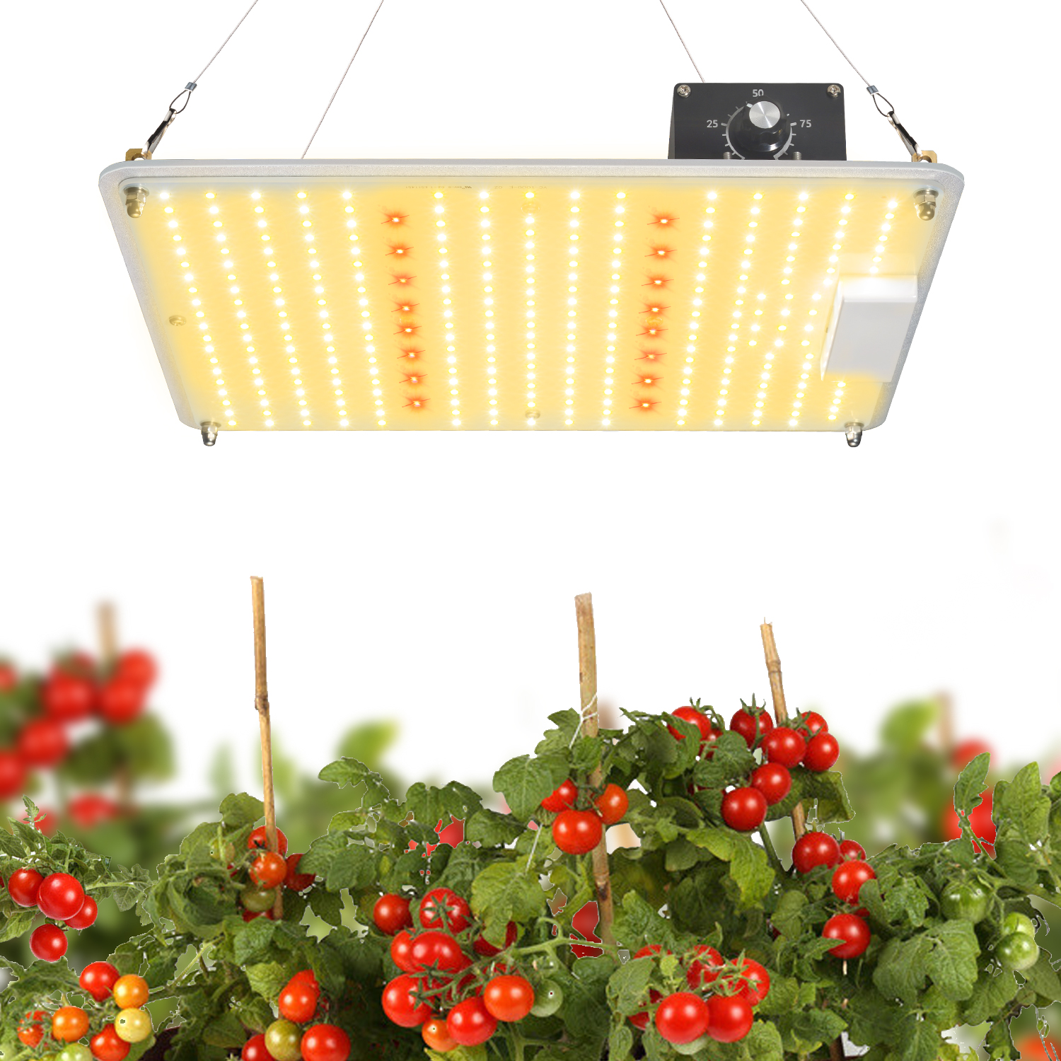 艾博特YC-1000M系列詳情