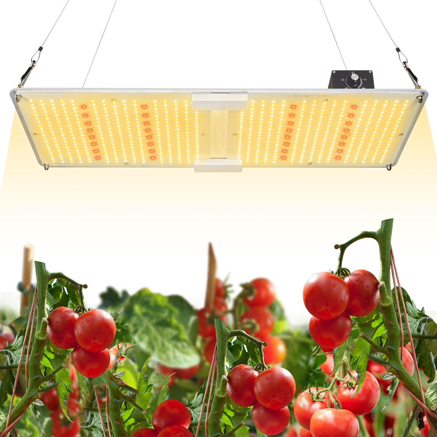 艾博特YC系列2000M詳情頁(yè)