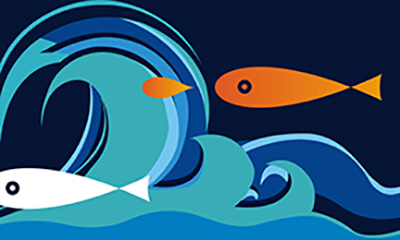 品牌和優(yōu)秀品牌的區(qū)別