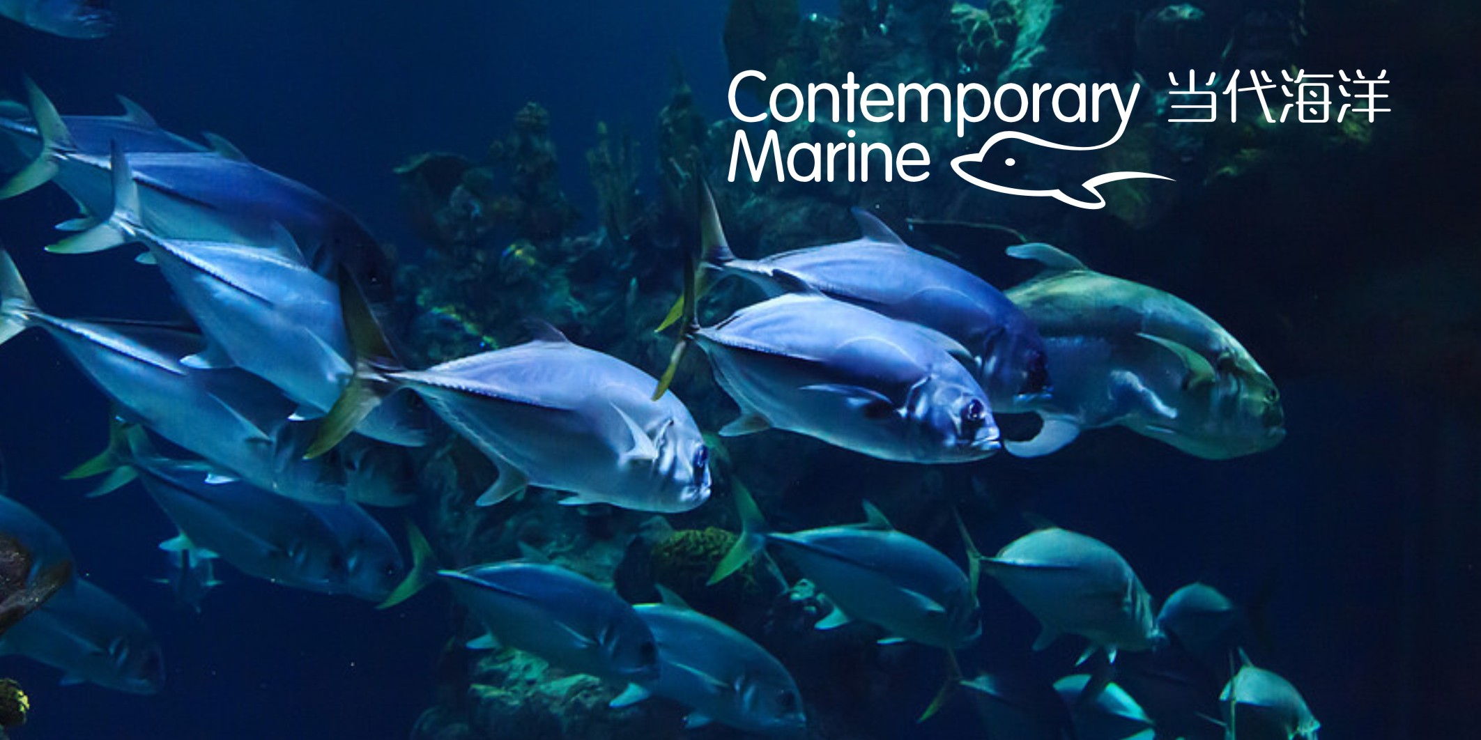 7天完成品牌升級(jí)！微型VI設(shè)計(jì)全流程解析